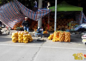 水果年货---到处都是卖柚子的