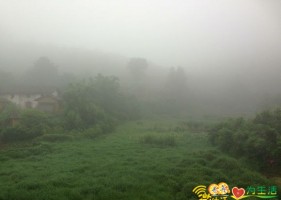 江西发布大雾黄色预警 赣州吉安抚州出现大雾