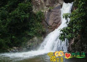 东江源寻乌水生态保护项目在广州启动