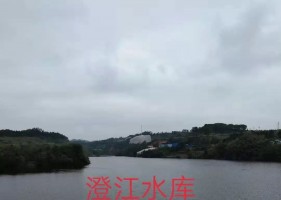 【果农脚步】寻乌澄江的土地，平坦又肥沃